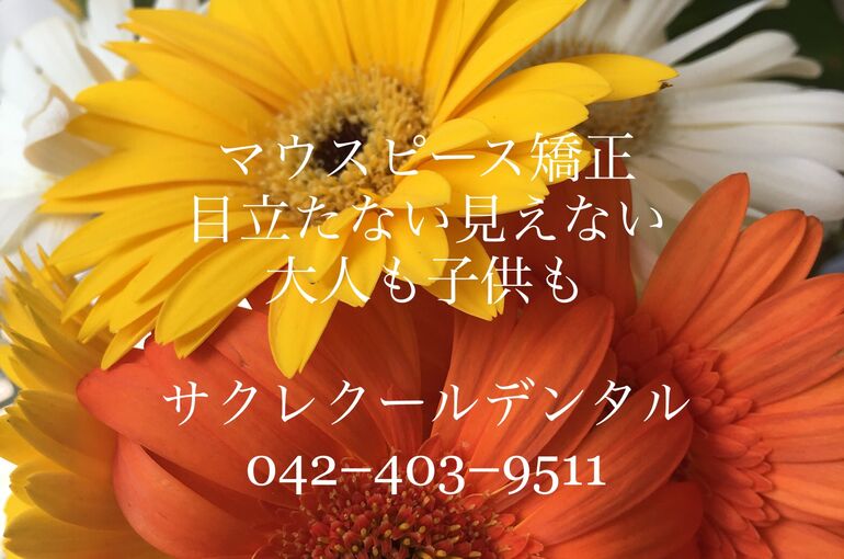 638E80B6-88E7-4AE8-9F7F-E24E3F3A236E